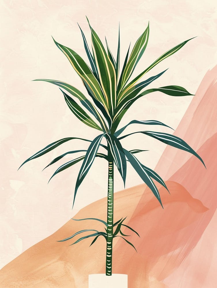 Dracaena Plant Minimalist Illustration 1