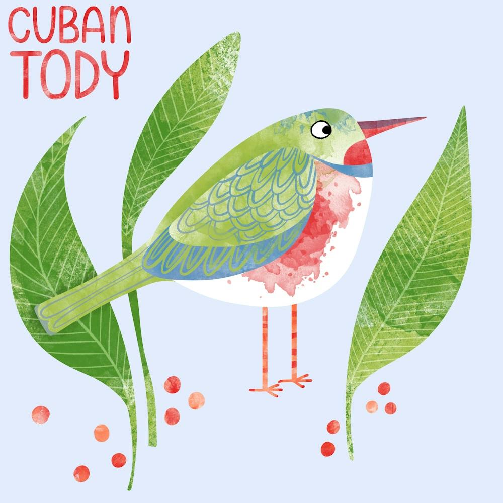 Cuban Tody Bird