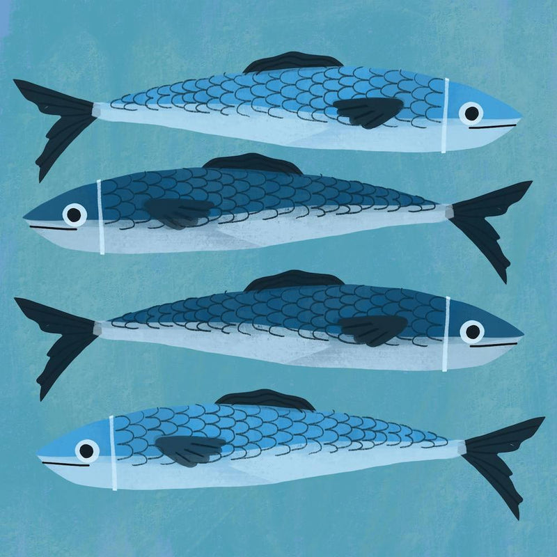 Fish