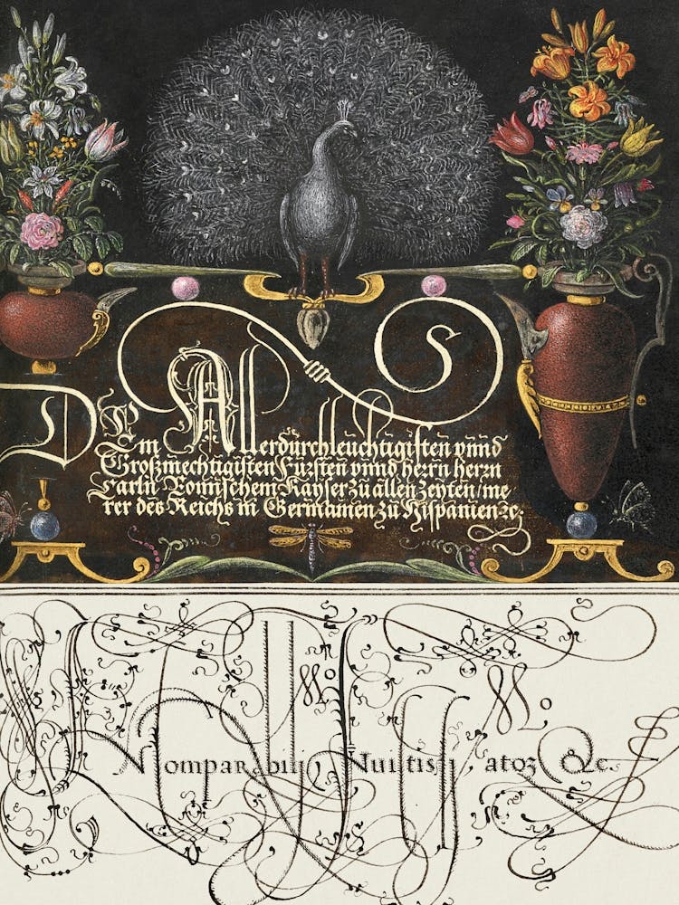 Flower Arrangements, Peacock, Butterflies, And Insect From Mira Calligraphiae Monumenta, Joris Hoefnagel