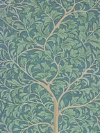 English Oak 2 tree Vintage Botanical