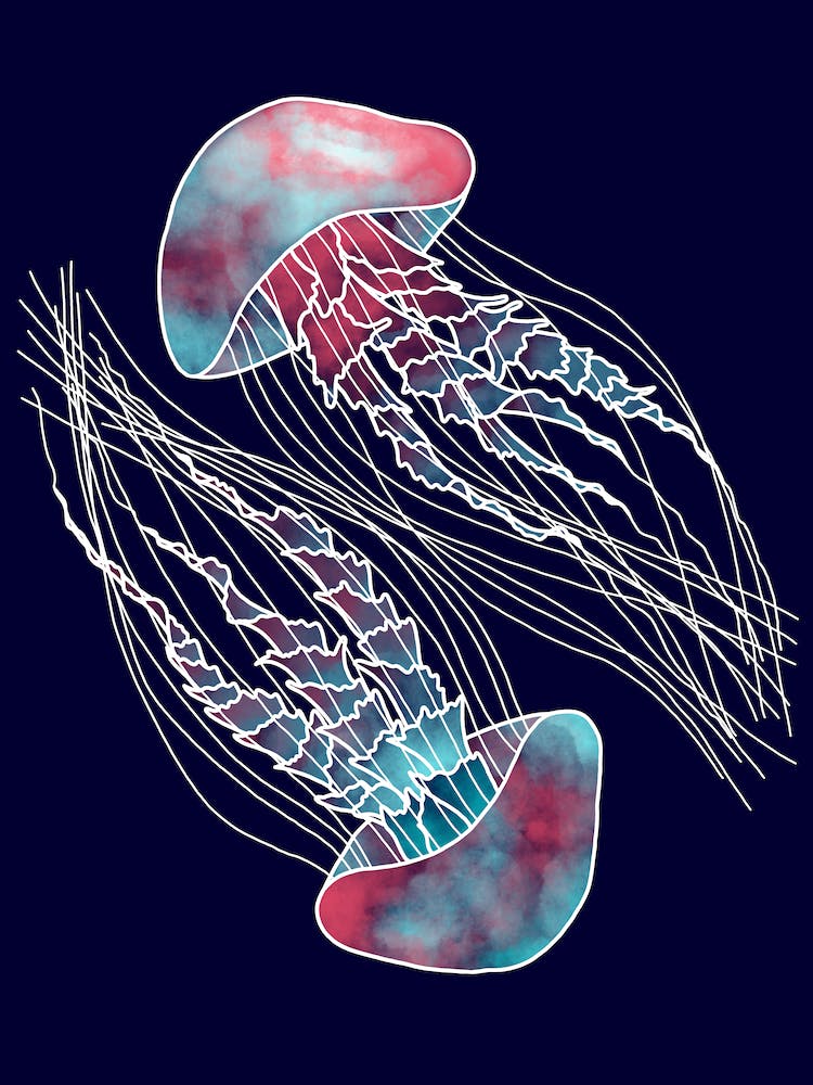 Jellyfish