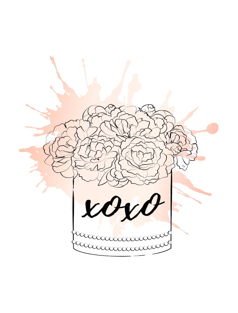 Peony Xoxo