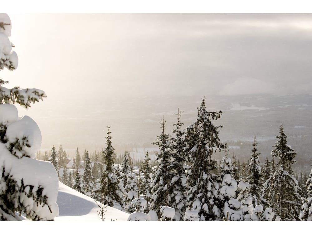 A sunrise in Sjusjøen, Norway