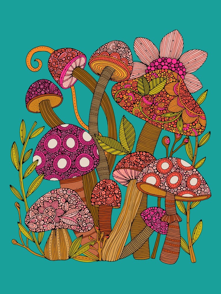 Candy Mushroorms 1