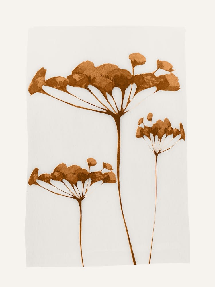 Abstract Art Minimal Plant 119