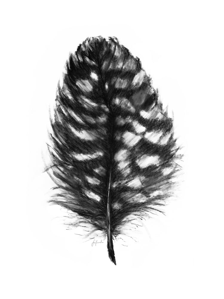 Bold Feather II, Aga Szafranska