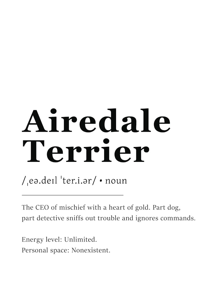 Airedale Terrier Definition Poster - Dictionary