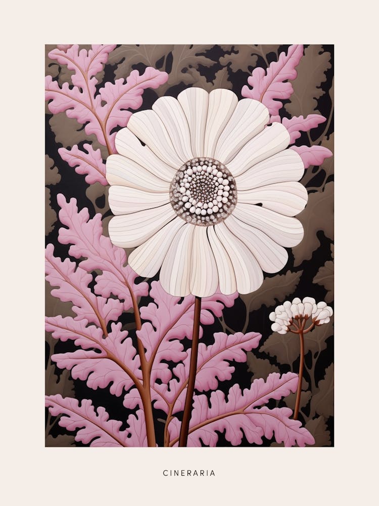 Illustration Florale Cinéraire 1 Affiche