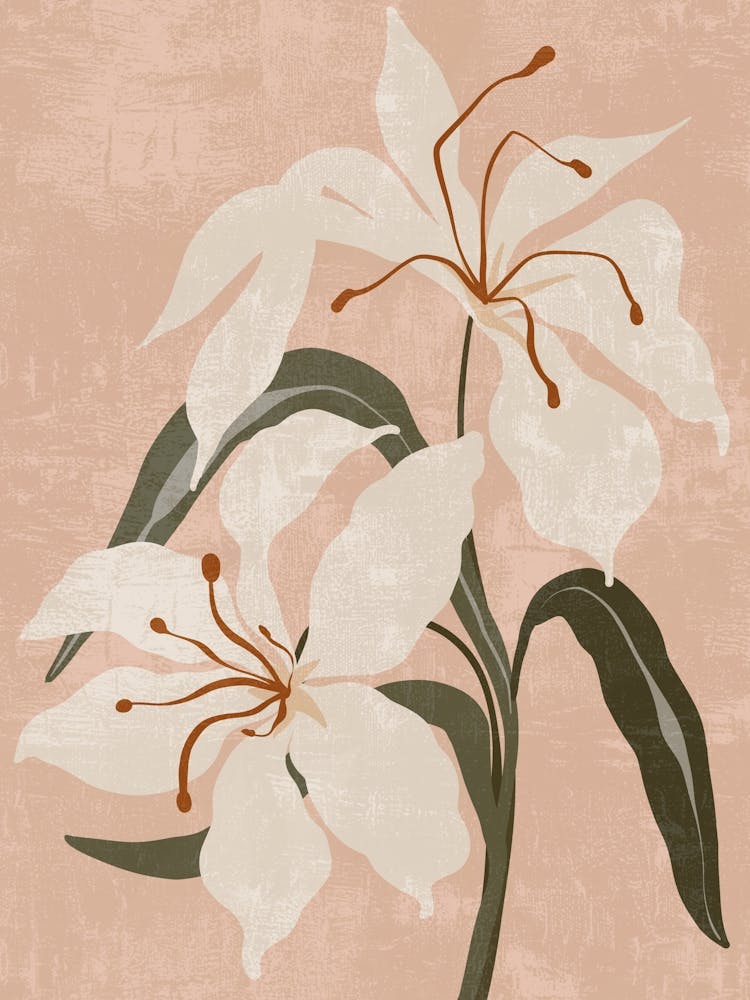 White Lily