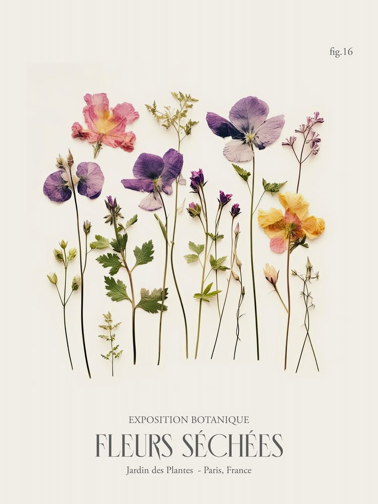 Fleurs Sechees, Dried Flowers Exhibition Poster 16