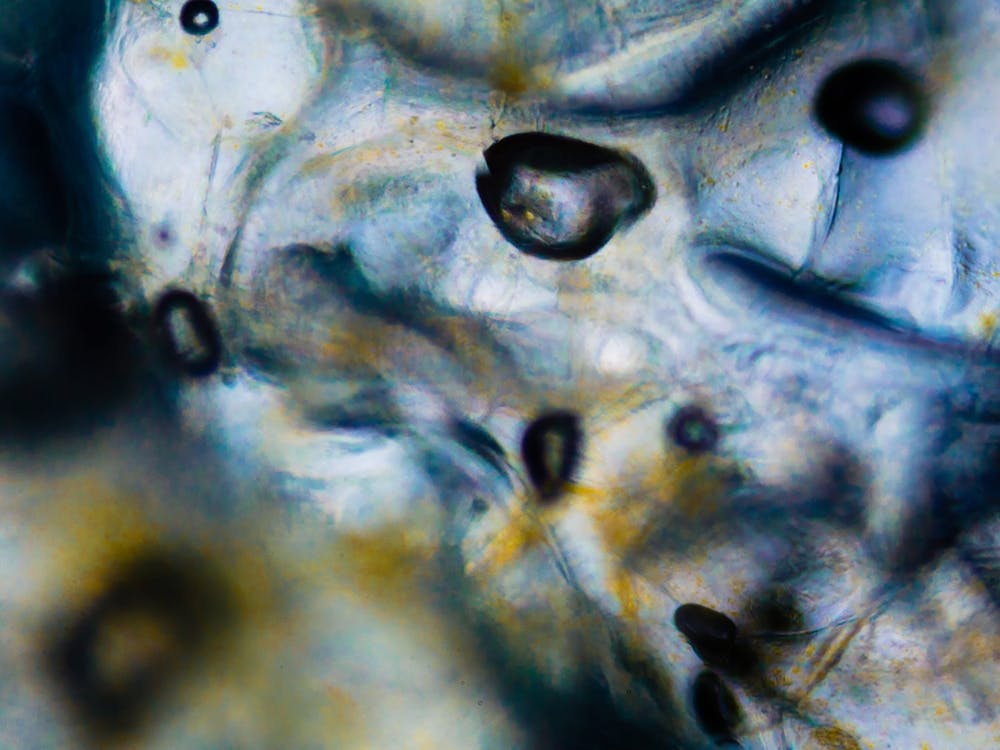 Liquid Under The Microscope Abstract Textures And Colors