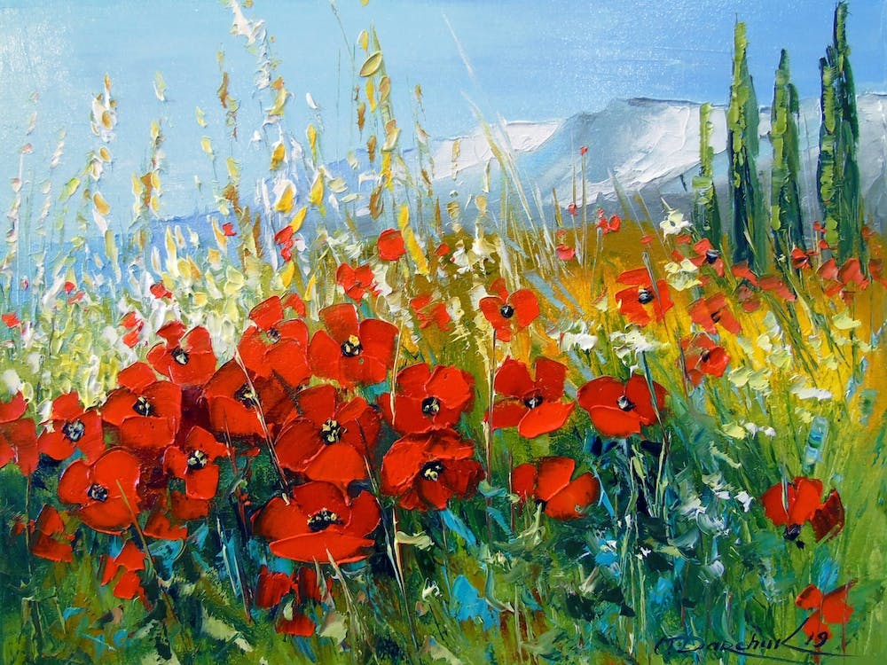 Feld roter Mohn