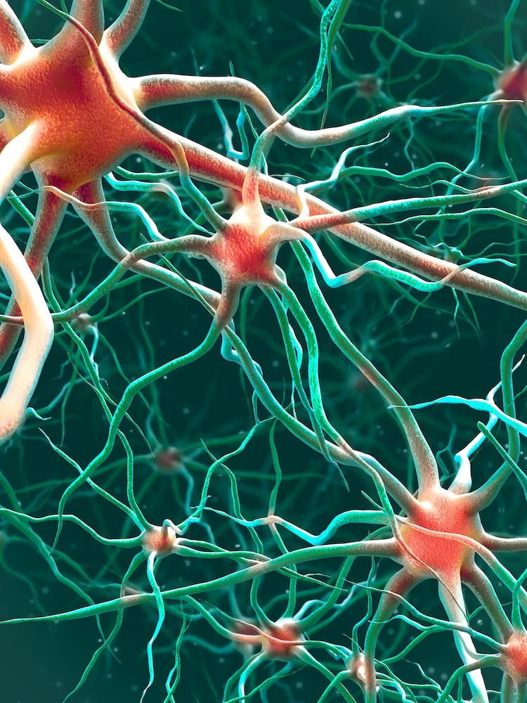 Neural Networks Type 6