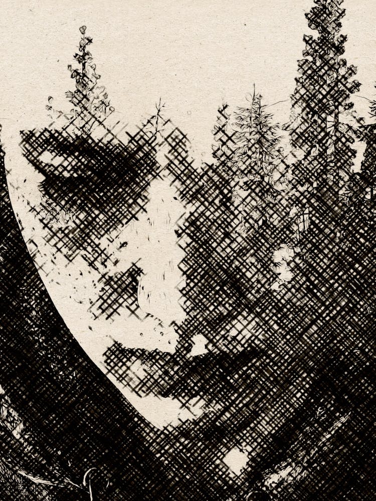 ellie The Last of Us forest