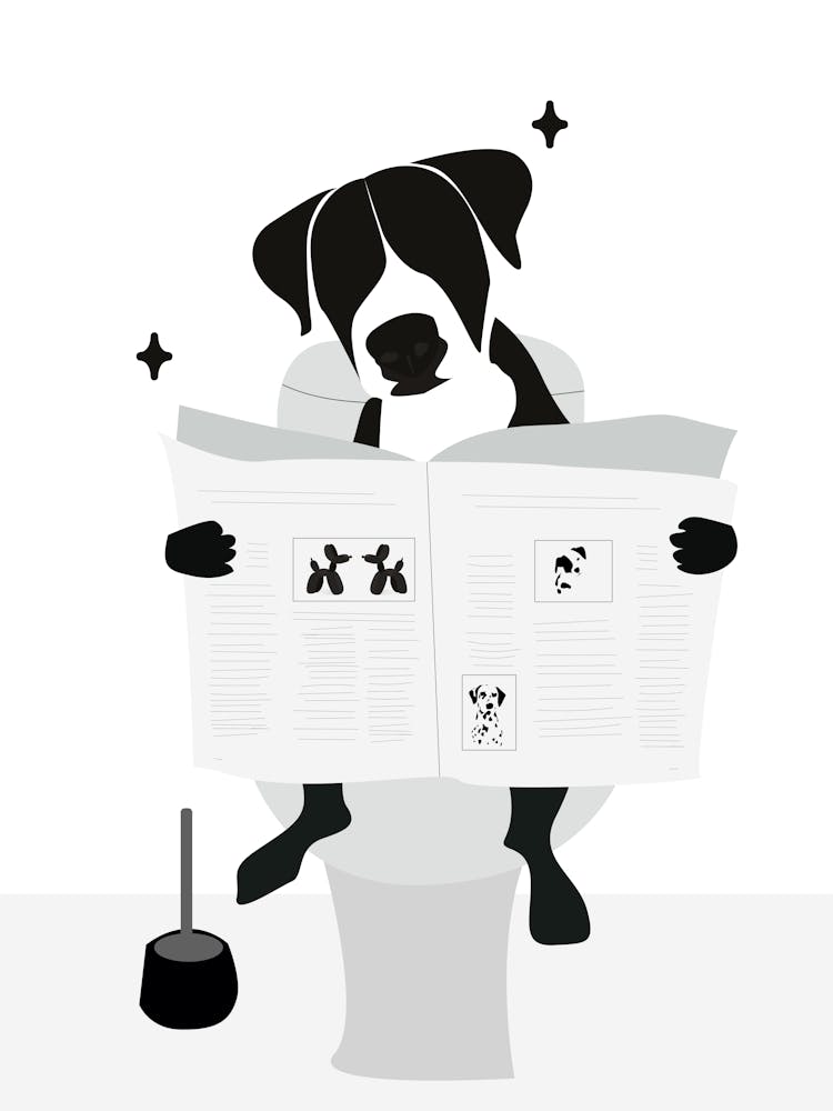 dog reading in the Toilet