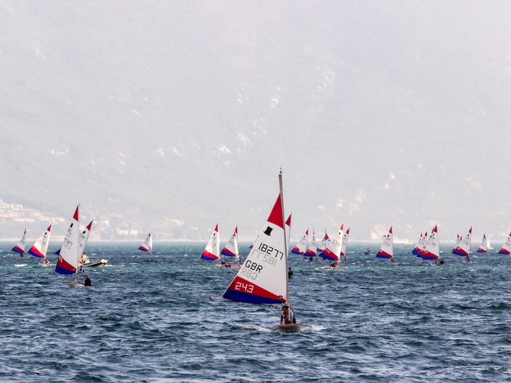 Laser Sailing Regatta