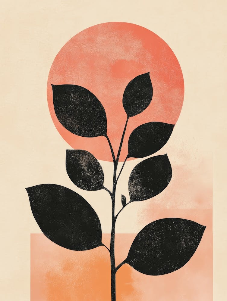 Coucher de Soleil avec une Plante