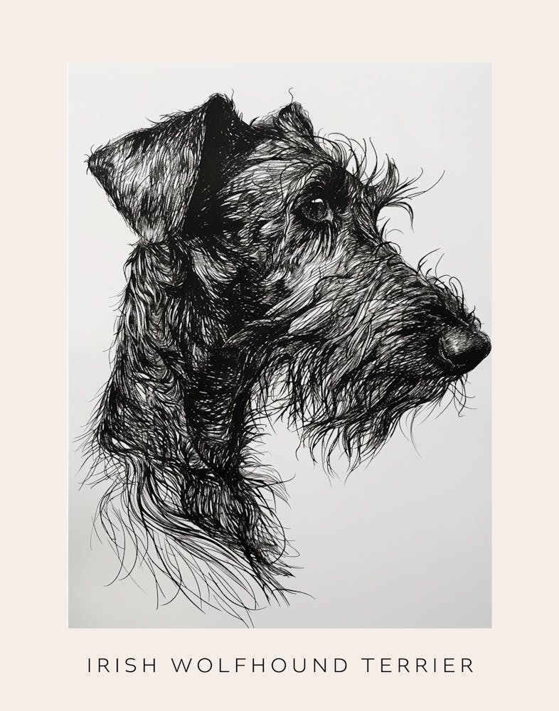 Irish Wolfhound Terrier Dog Line Sketch 2 Poster