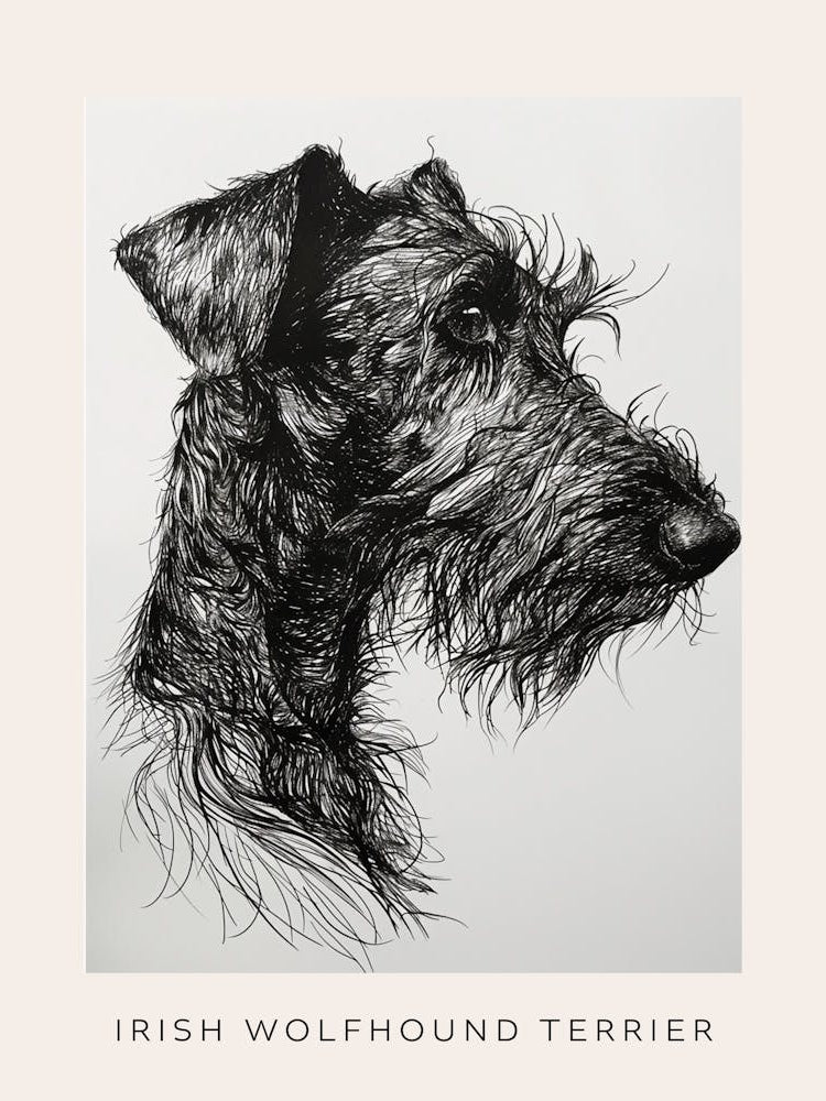 Irish Wolfhound Terrier Dog Line Sketch 2 Poster