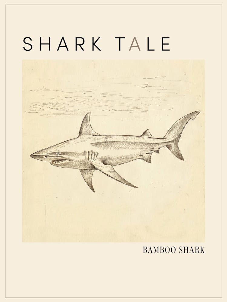 Bamboo Shark Vintage Illustration 1 Poster