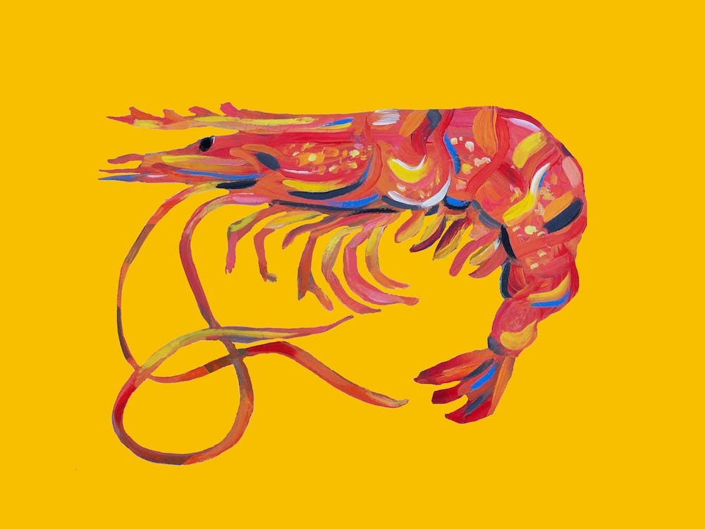 Prawn On Yellow