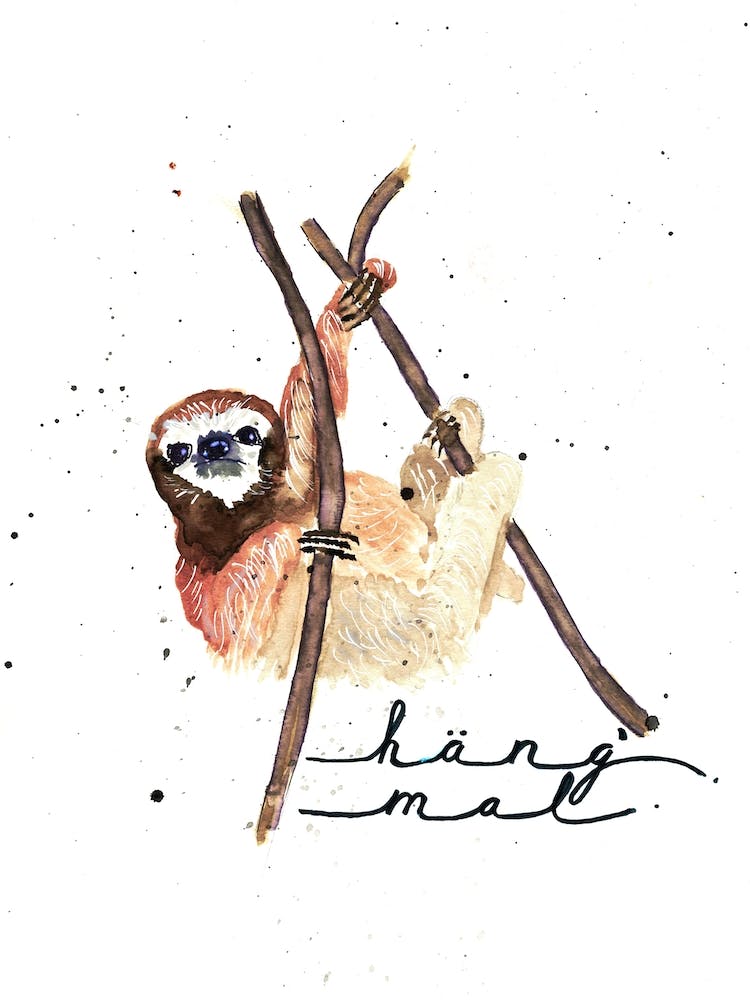 Lazy Sloth
