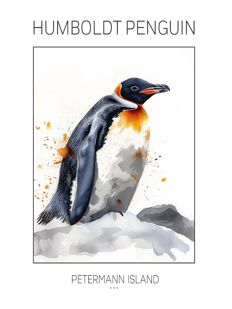 Humboldt Penguin Petermann Island Watercolour Painting 5 Poster