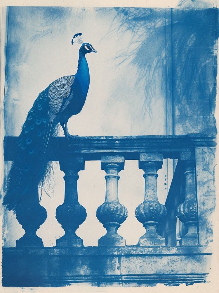 Cyanotype Inspired Peacock Resting On A Handrail 4