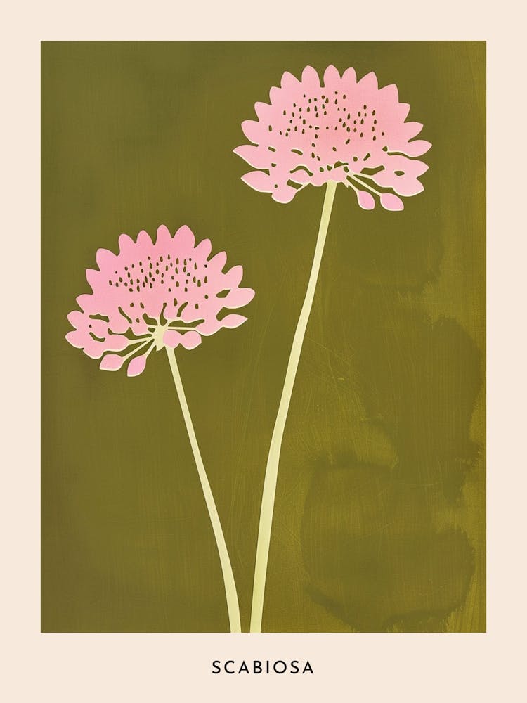 Pink & Green Scabiosa 2 Flower Poster