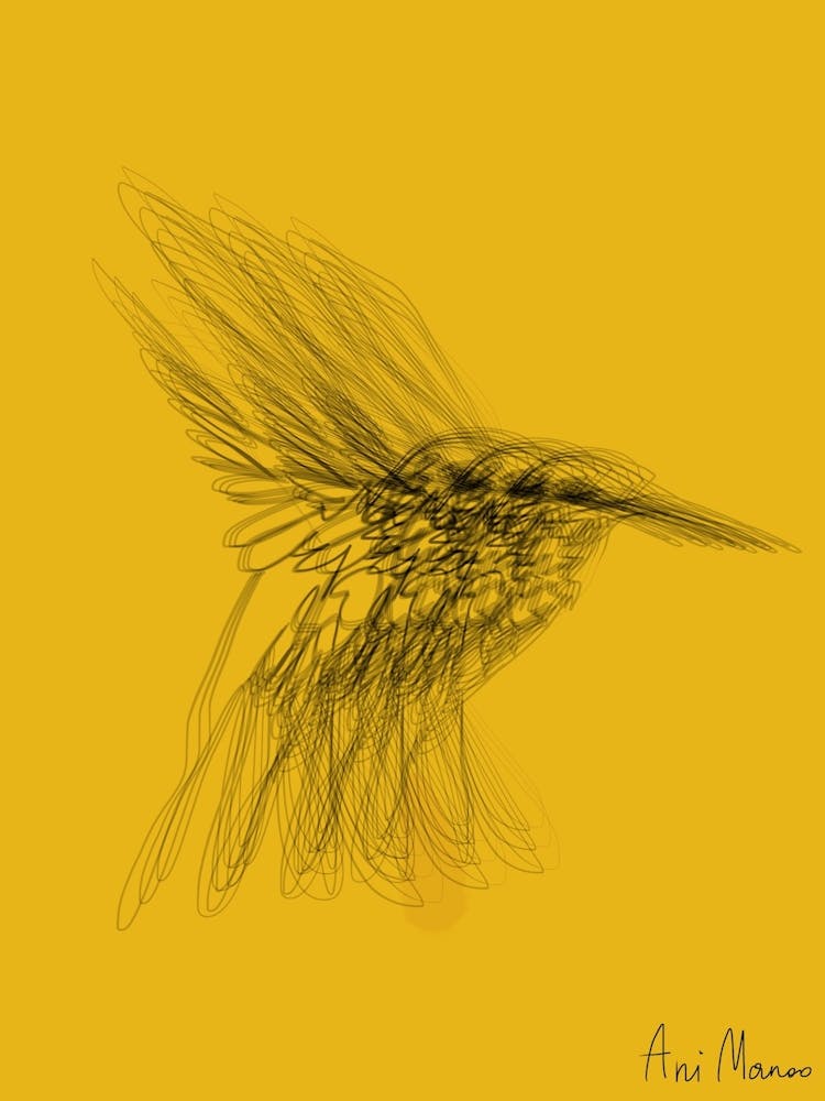 Colibri003