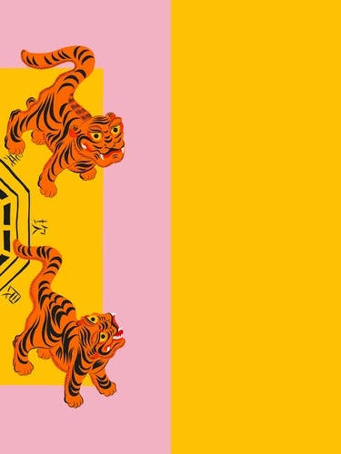 Bagua Tigers Pink
