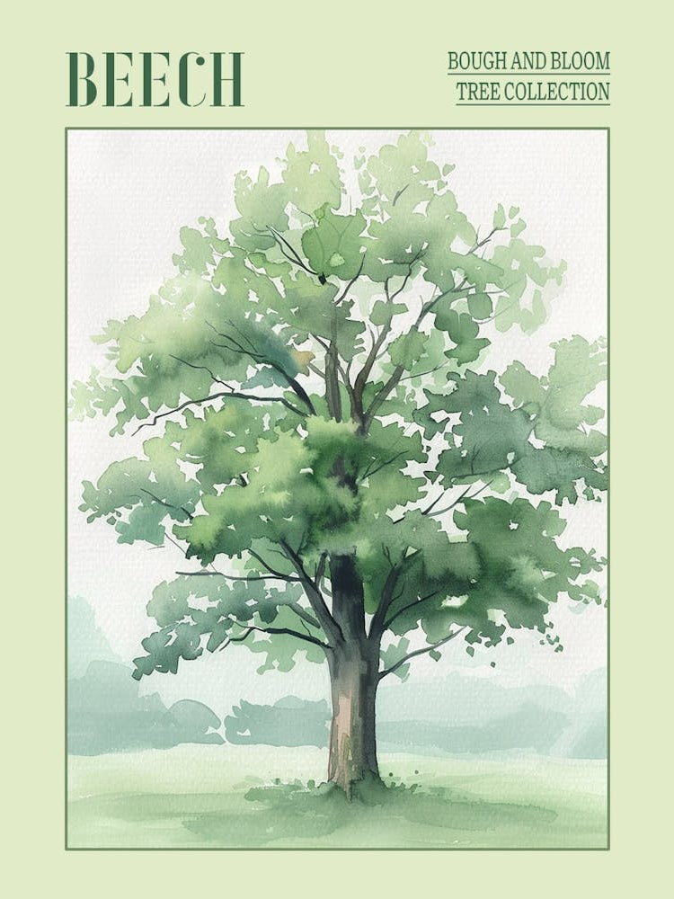 Beech Tree Atmospheric Watercolour Painting 2 Poster