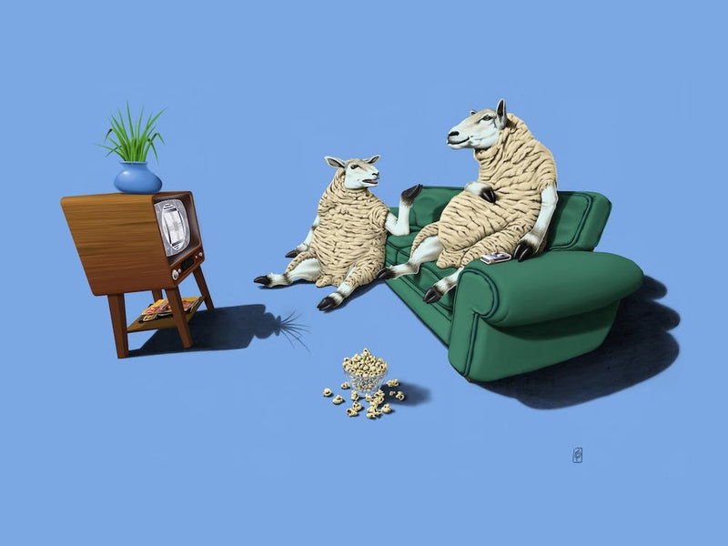 Sheep (Colour)