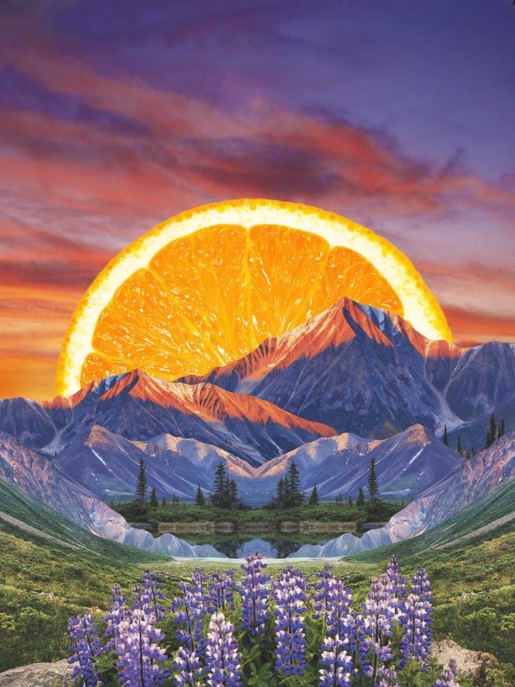 Citrus Sky Purple & Orange