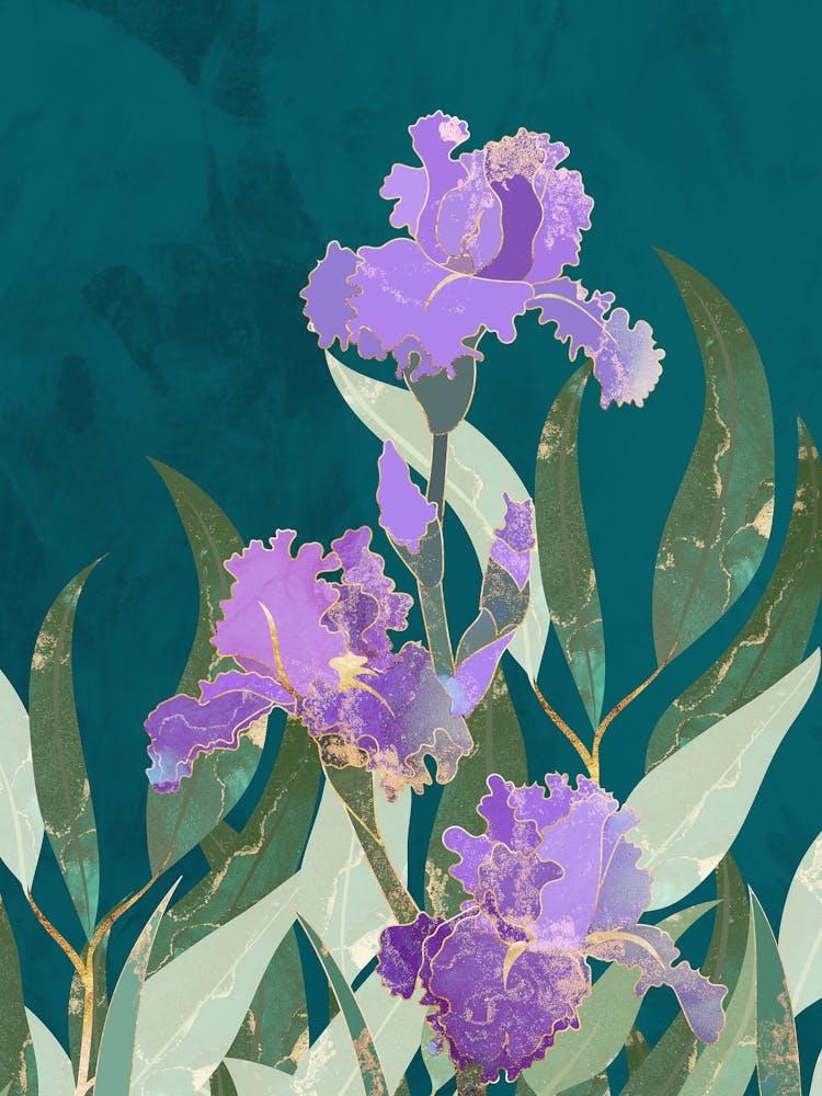 Purple Iris