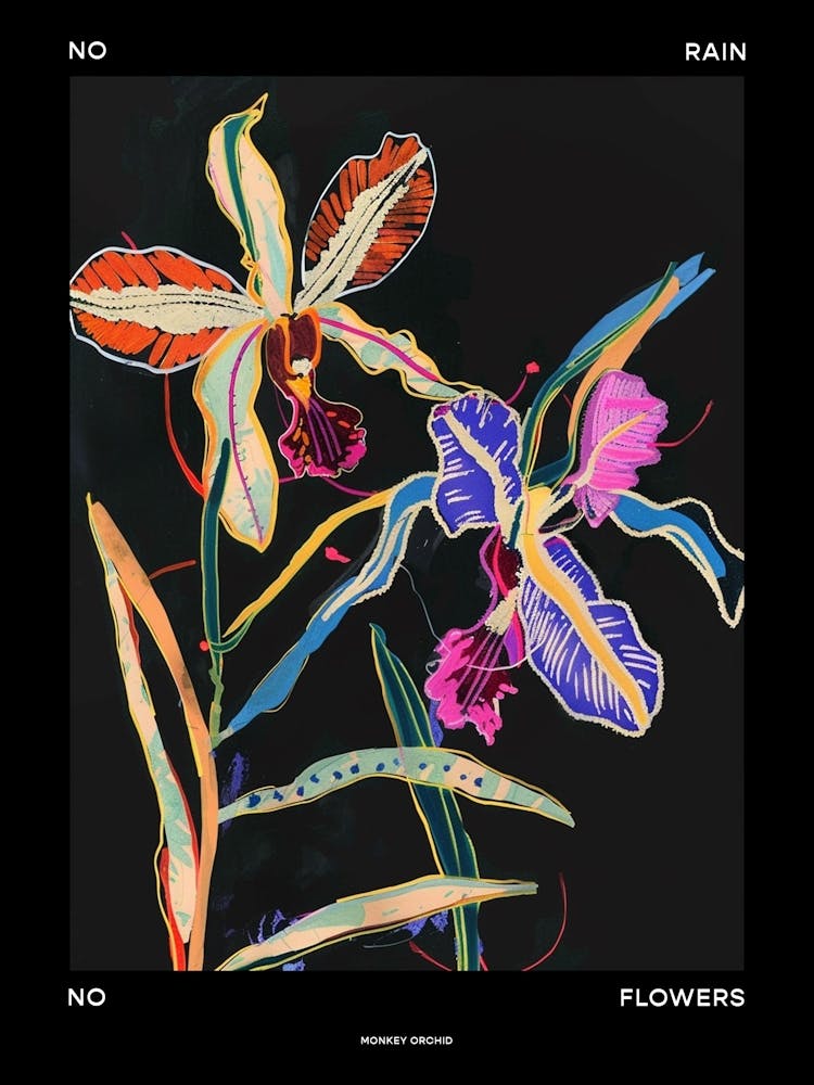 No Rain No Flowers Poster Monkey Orchid 4