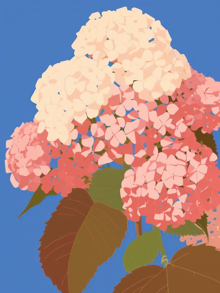 Hydrangeas Flower Big Bold Illustration 2