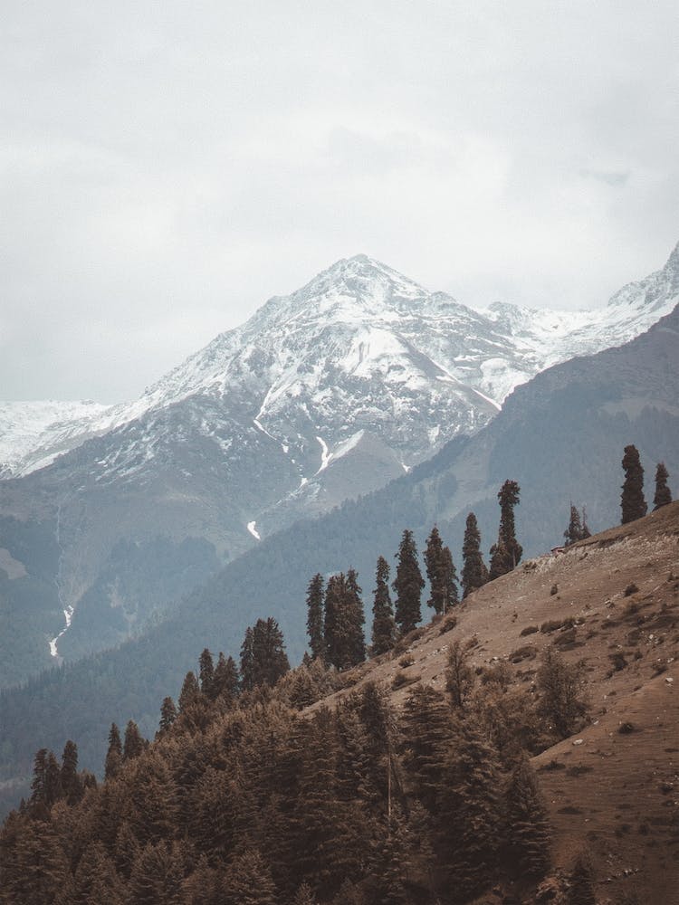Rustic Mountain Scenery
