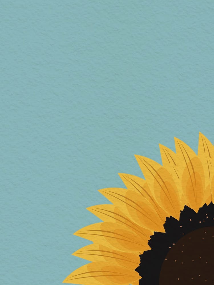 Vintage Minimal Art Sunflower