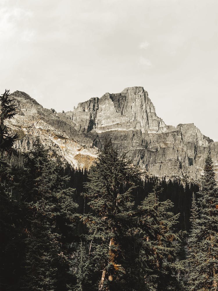 Gray Rocky Mountain
