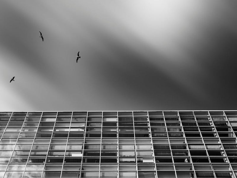 comatose bw