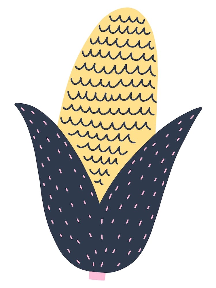 Corn Cob