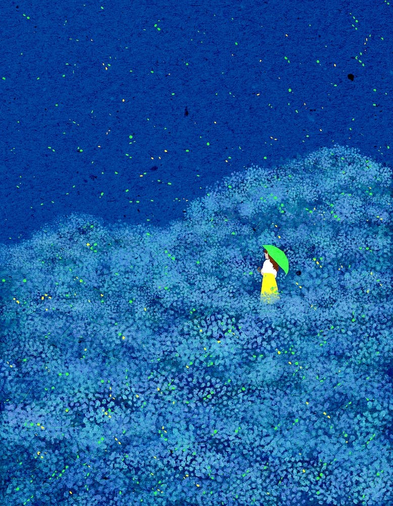 Fireflies