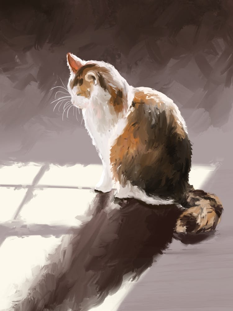 Calico Cat