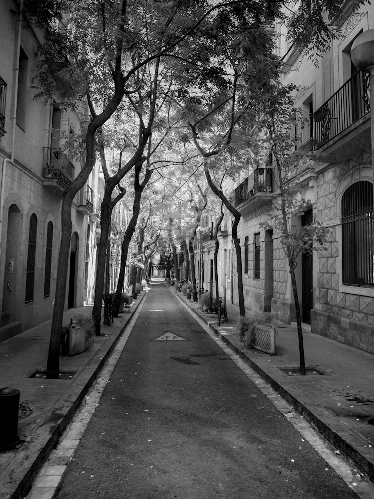 Street In Barcelona
