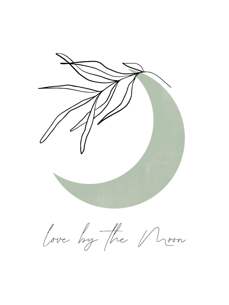 Love By the Moon in Sage Green, Boho, Floral Line