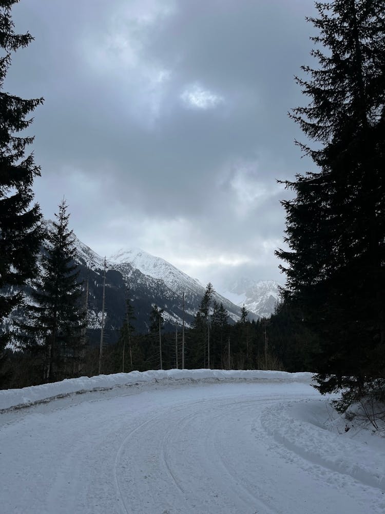 Snowy Mountain Road