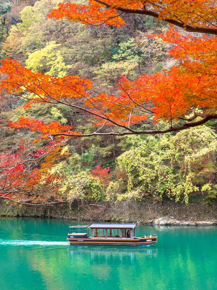 Autumn In Kyoto