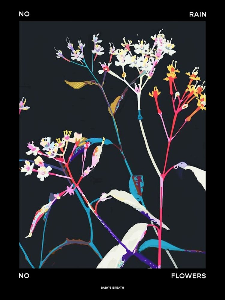 No Rain No Flowers Poster Babys Breath 2